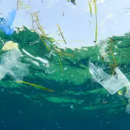 Des sacs plastiques et des débris flottent à la surface de l'eau, témoignant de la pollution de la rivière.