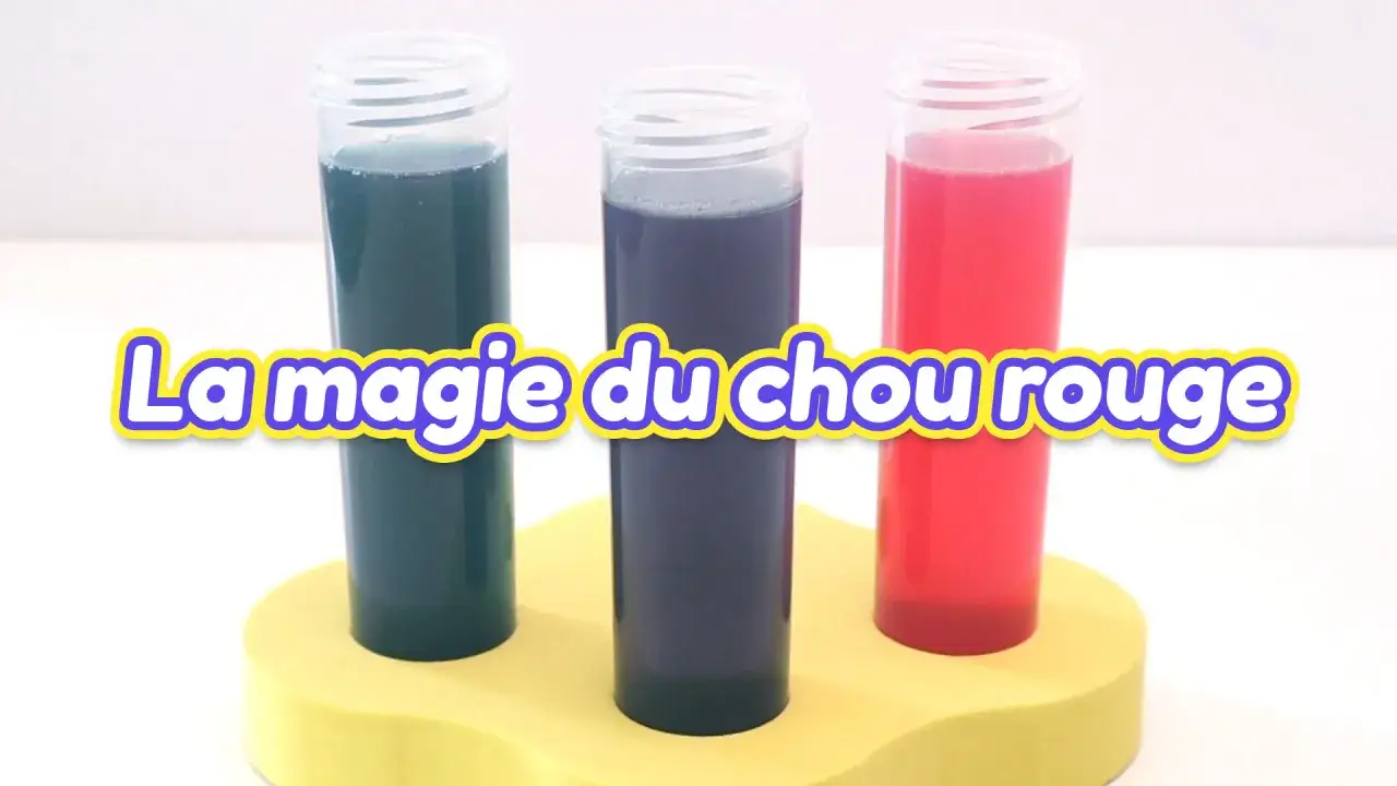 Comment tester le pH de l’eau avec du chou rouge ?